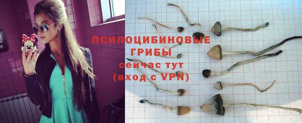 соль курить ск Богородск
