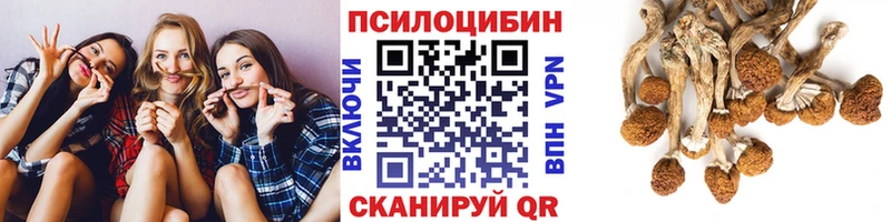 мега онион  Светогорск  Галлюциногенные грибы мицелий 